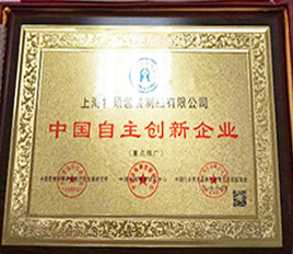中国自主创新企业